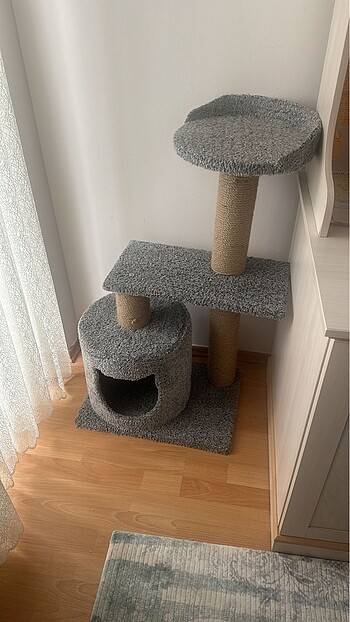 kedi evi