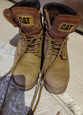 Cat Cat bot