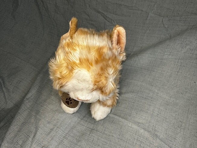 Kedi peluş