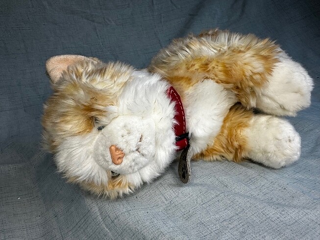 Diğer Kedi peluş