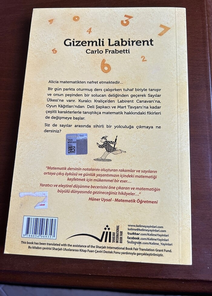 Gizemli labirent carlo franetti okuma kitabı - Görsel 2
