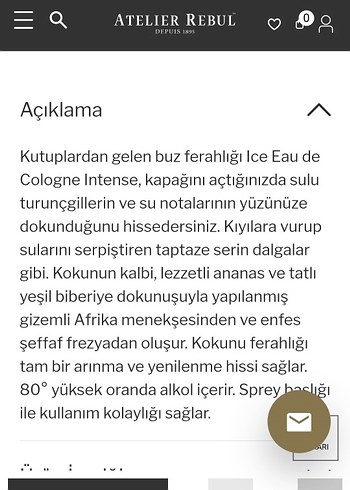 Atelier Rebul Ice İntense 200 ml - Görsel 3