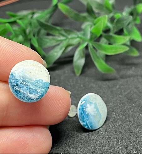 Sahil hipoalerjenik - Görsel 2