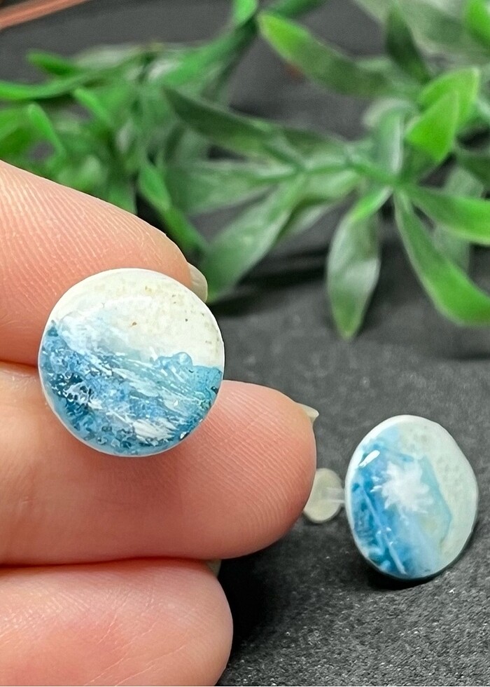 Sahil hipoalerjenik - Görsel 2