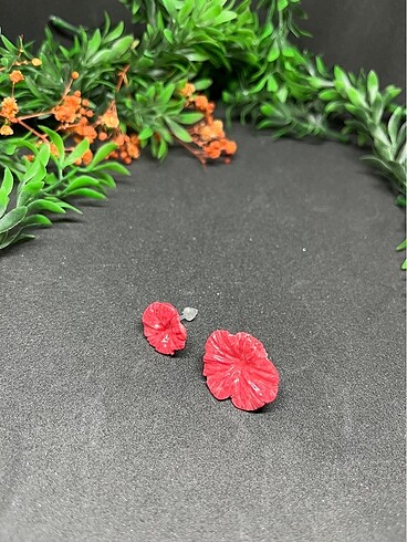 Iki boy çiçek hipoalerjenik - Görsel 2