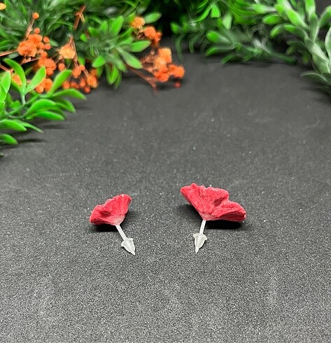 Iki boy çiçek hipoalerjenik - Görsel 3