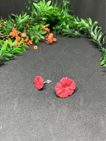 Iki boy çiçek hipoalerjenik - Görsel 4