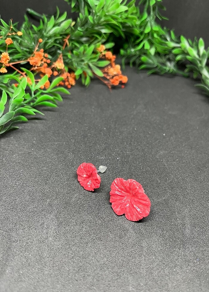 Iki boy çiçek hipoalerjenik - Görsel 2