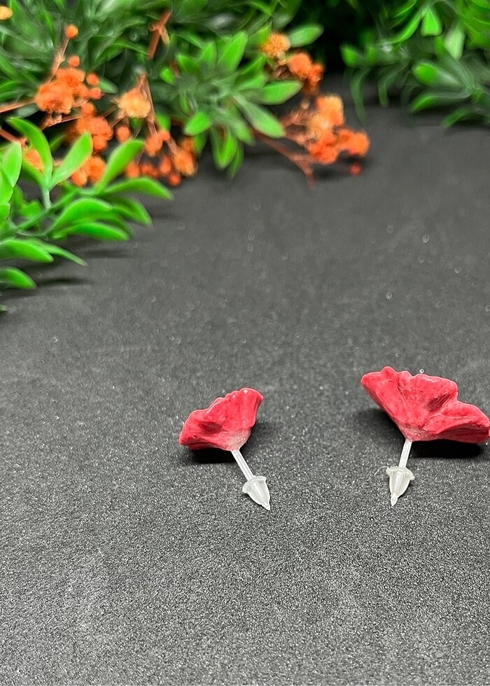 Iki boy çiçek hipoalerjenik - Görsel 3