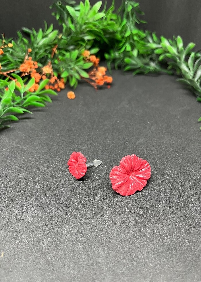 Iki boy çiçek hipoalerjenik - Görsel 4