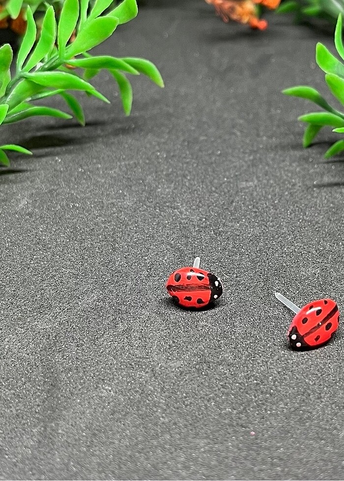 Uğur böceği stud küpe hipoalerjenik - Görsel 2