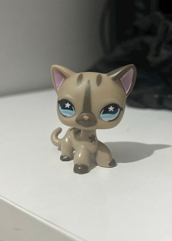  LPS Shorthair