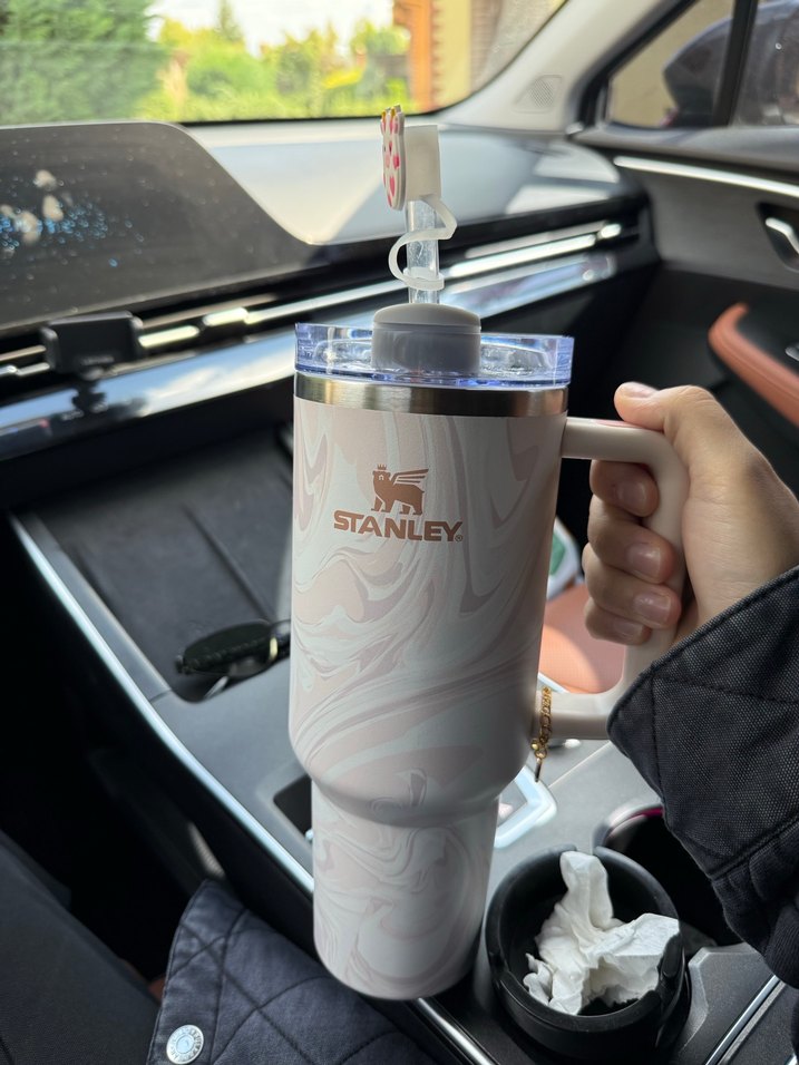 Stanley pipetli termos - Görsel 2