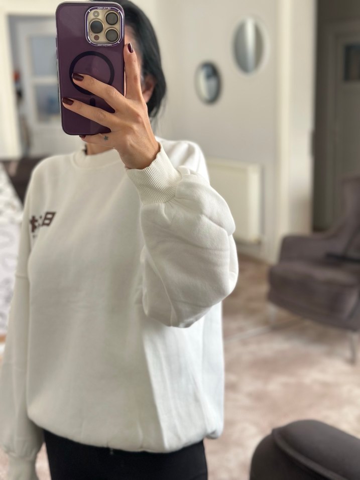 Kahverengi Kartal Baskılı Erkek Sweatshirt - Görsel 3