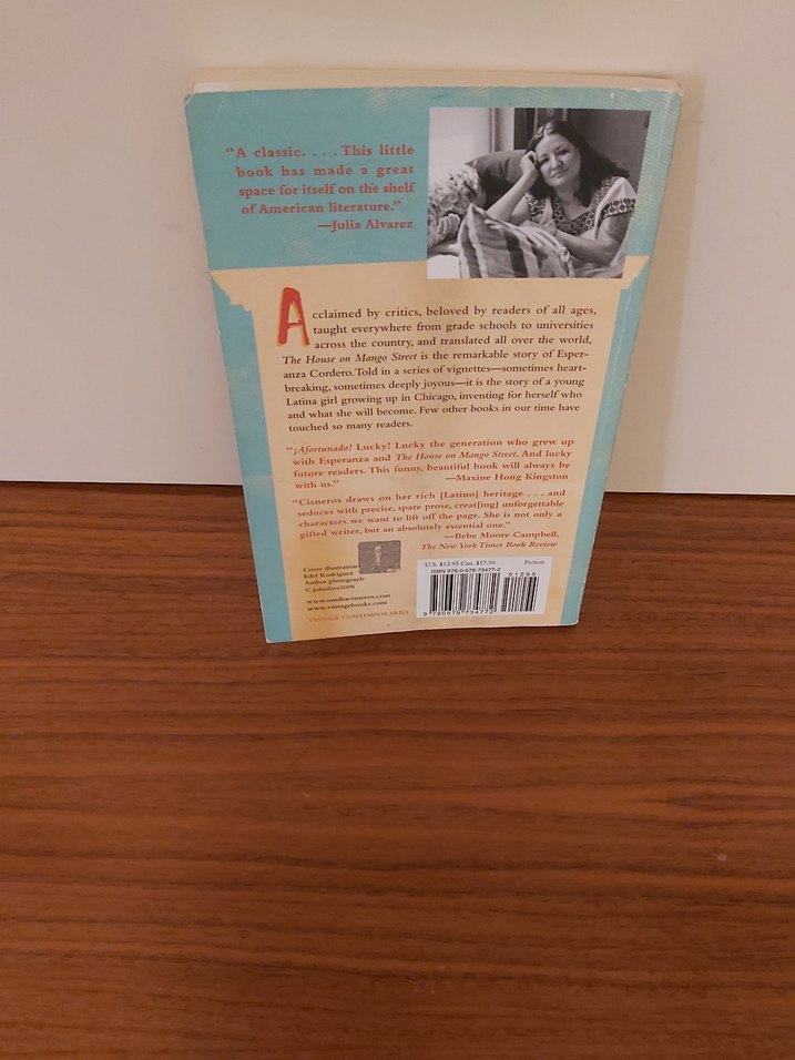 The House on Mango Street - 25. Yıl Özel Baskı - Görsel 2