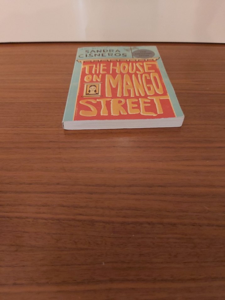 The House on Mango Street - 25. Yıl Özel Baskı - Görsel 3