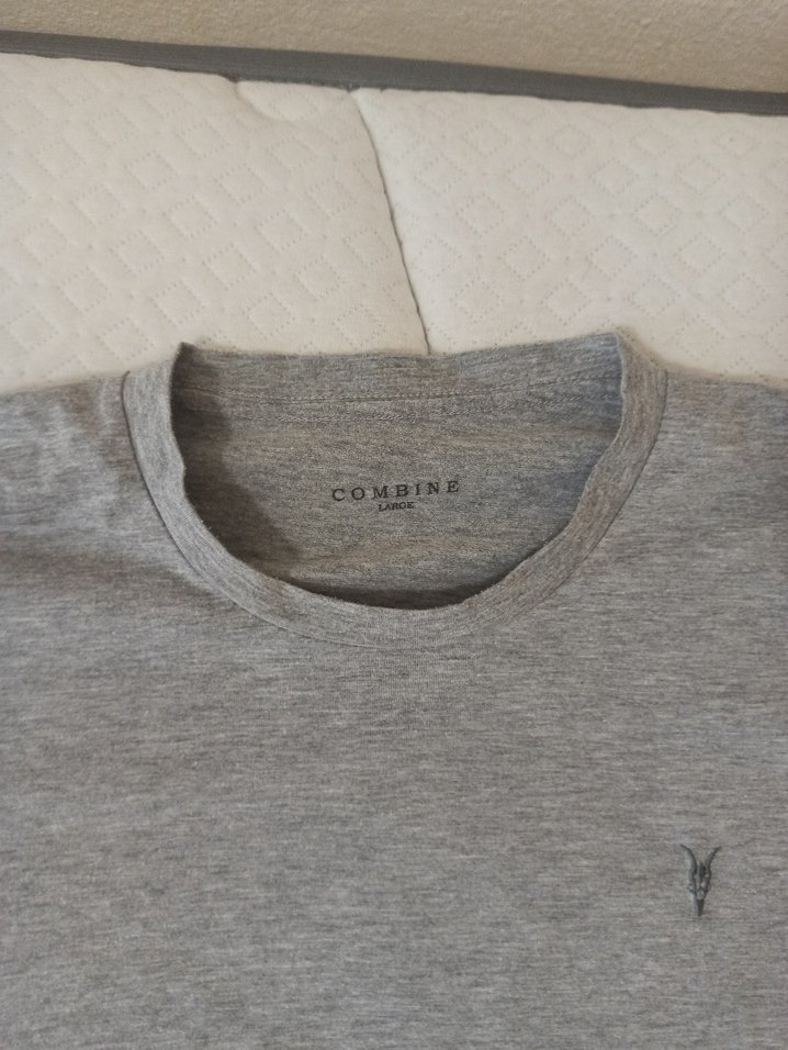 Gri Kısa Kollu Erkek Tişört - Görsel 2