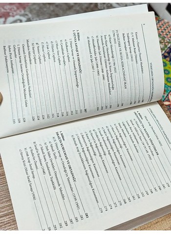 Türklerin Ortadoğu Hakimiyeti - Cihan Alkan - Görsel 6