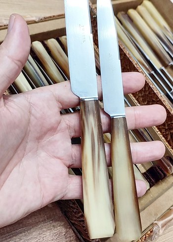 Antika Bıçak Seti 24 Parça Boynuz Saplı - Görsel 6