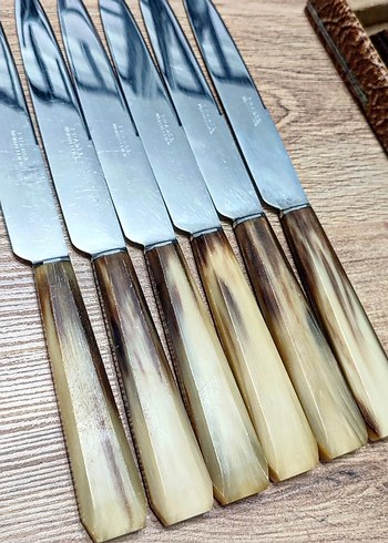 Antika Bıçak Seti 24 Parça Boynuz Saplı - Görsel 5