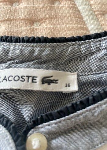 Erkek Beyaz Düğmeli Polo Tişört - Görsel 2