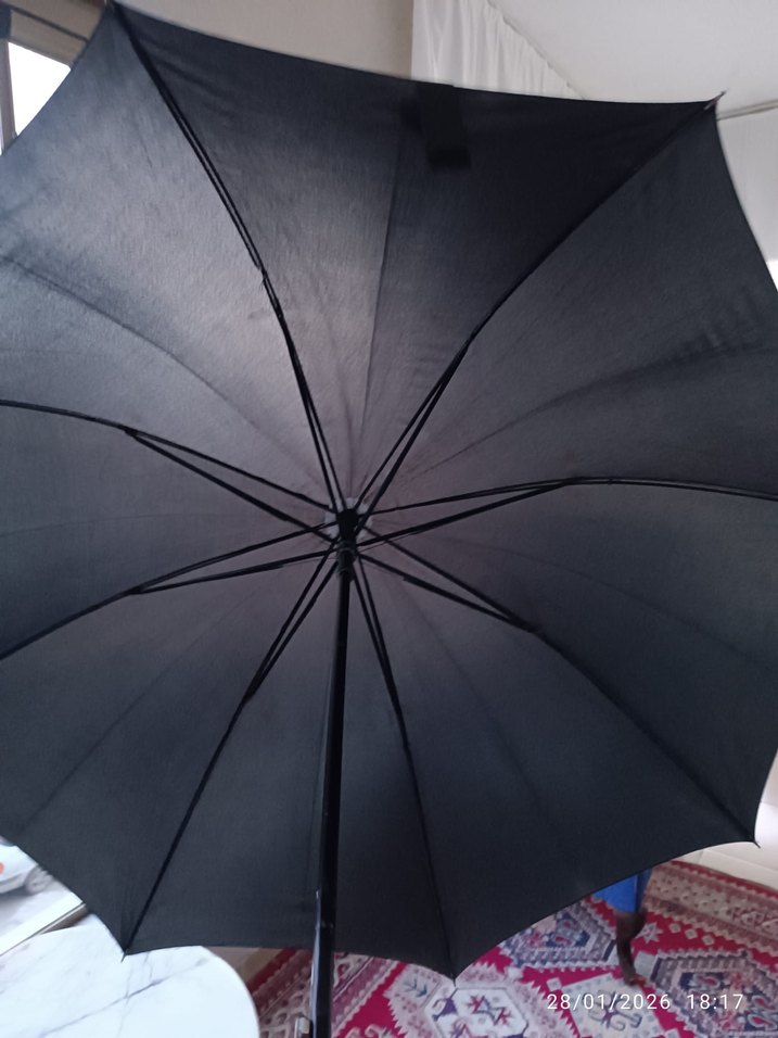 Siyah Gotik Şemsiye - Görsel 4