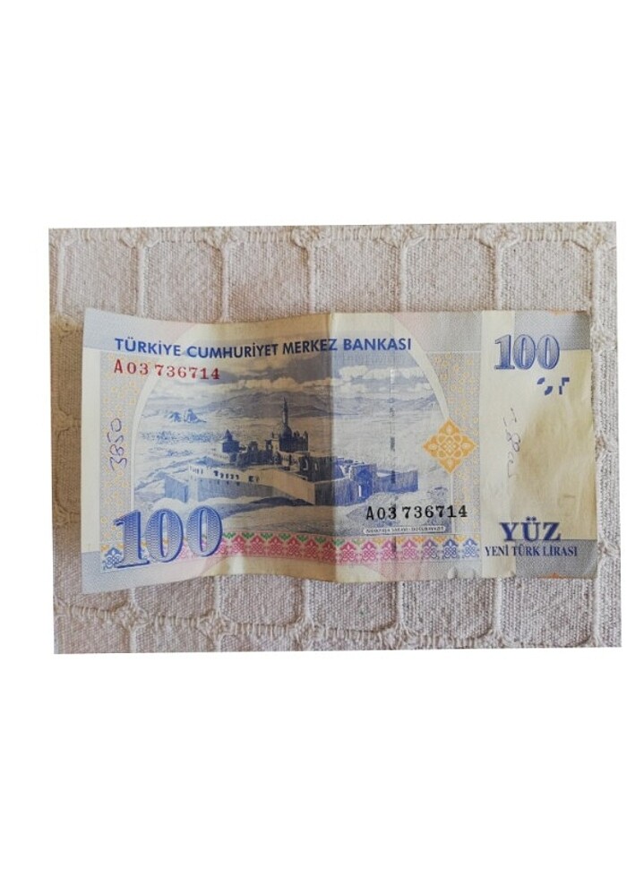 Yeni yüz türk lirası  - Görsel 2