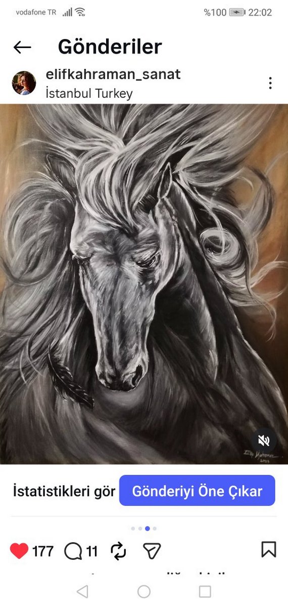 YAĞLI BOYA KISRAK TABLO - Görsel 2