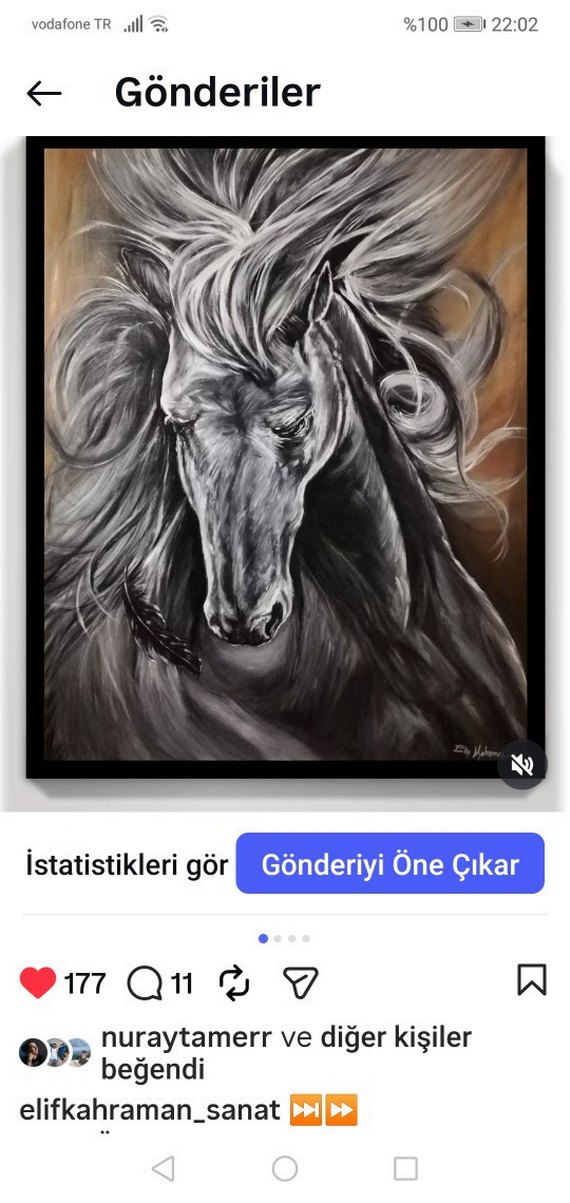 YAĞLI BOYA KISRAK TABLO - Görsel 3