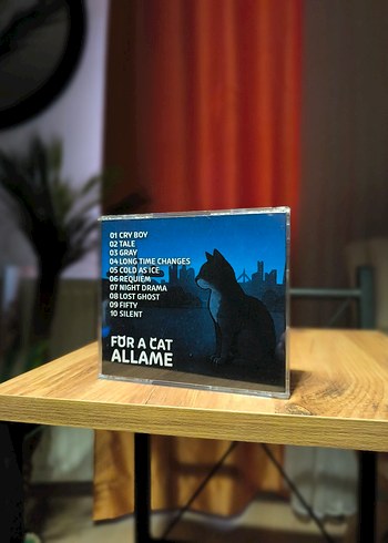 Allame - For A Cat - Görsel 3