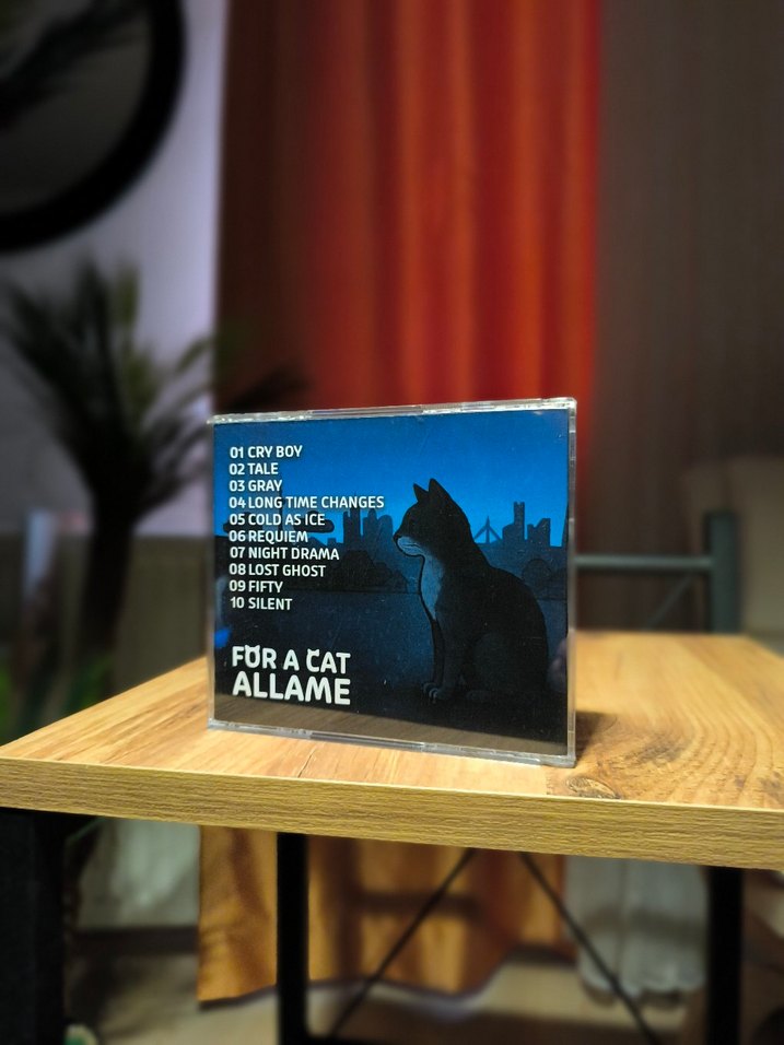 Allame - For A Cat - Görsel 3