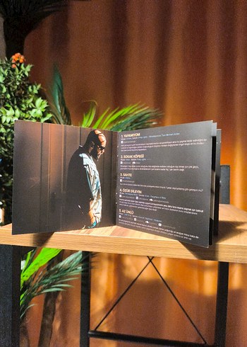 İndigo - Sokak Köpeği Dönem Baskı - Görsel 5