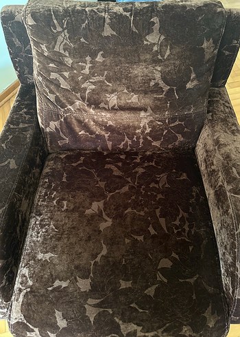 Tekli Kahverengi Koltuk - Görsel 3