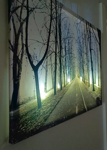 Işıklandırılmış Beyaz Ağaç Yolu Tablosu - Görsel 2