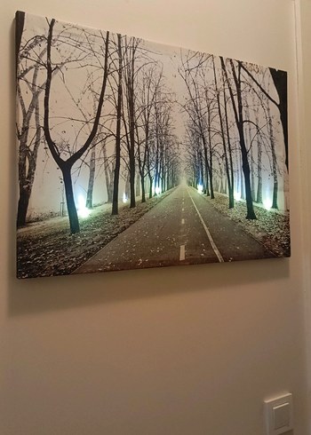 Işıklandırılmış Beyaz Ağaç Yolu Tablosu - Görsel 4