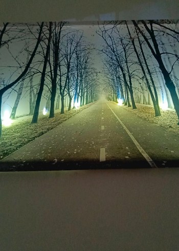 Işıklandırılmış Beyaz Ağaç Yolu Tablosu - Görsel 3