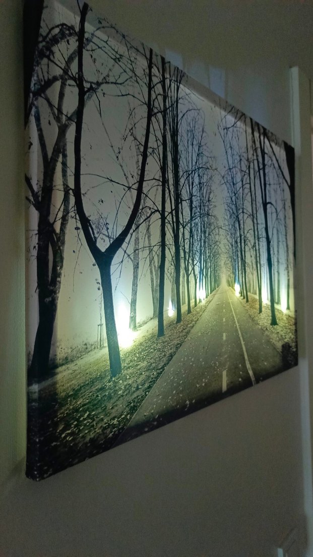 Işıklandırılmış Beyaz Ağaç Yolu Tablosu - Görsel 2