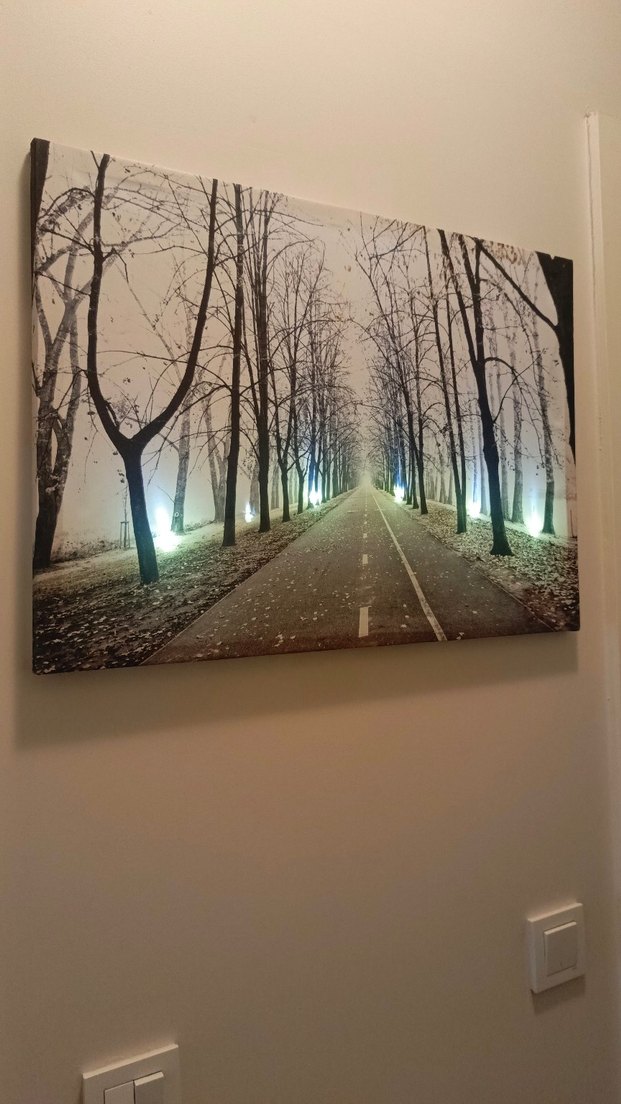 Işıklandırılmış Beyaz Ağaç Yolu Tablosu - Görsel 4