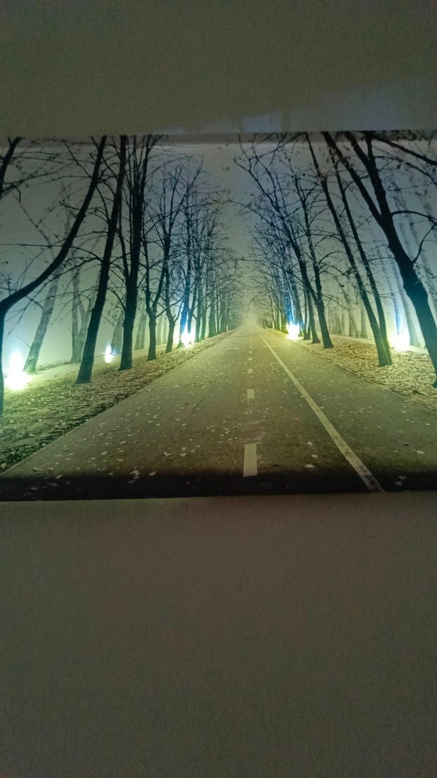 Işıklandırılmış Beyaz Ağaç Yolu Tablosu - Görsel 3