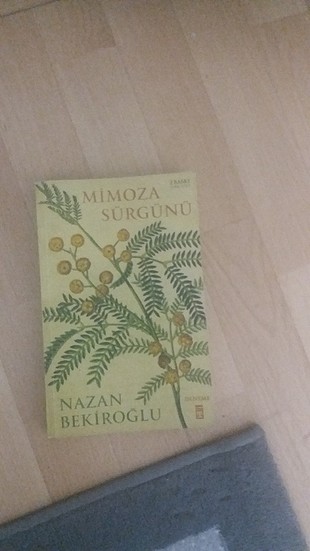 Nazan Bekiroglu / mimoza sürgünü 