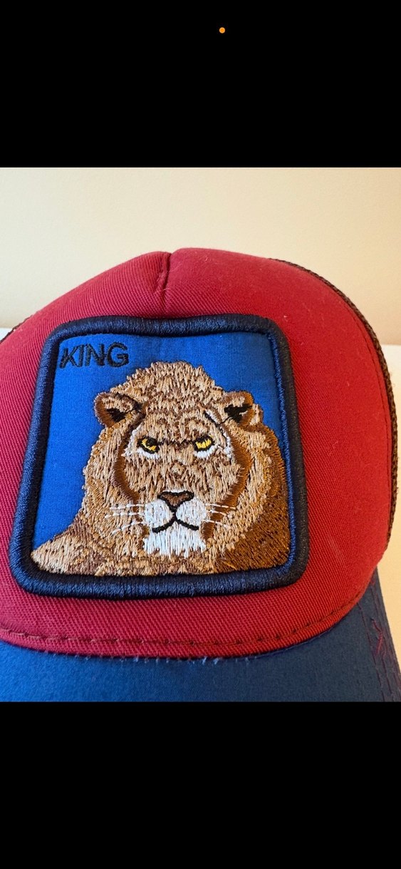 Kırmızı Lacivert Aslan Nakışlı Erkek Şapka - Görsel 2