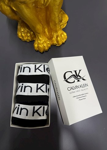 Calvin Klein Erkek Baskılı Boxer