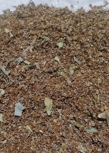 Beden çiçek ıhlamur. yapraksız saf çiçek. 500gram.