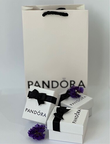 Diğer Pandora Charm