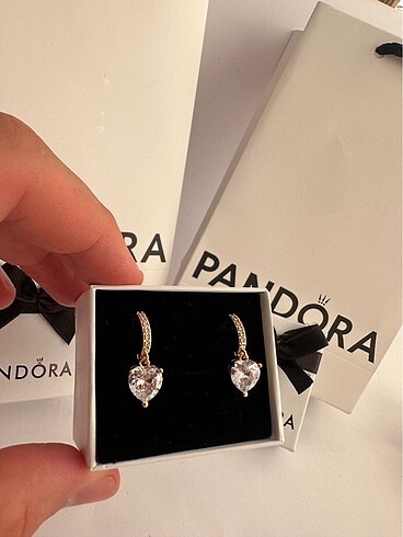 Beden Pandora Gold Hale Işıltılı Küpe
