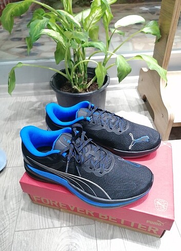 PUMA 42 NMR