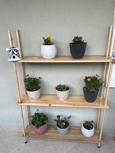 Masif Ahşap Raf Saksılık Düzenleyici - Görsel 2