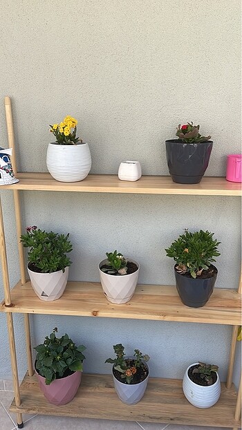 Masif Ahşap Raf Saksılık Düzenleyici - Görsel 7