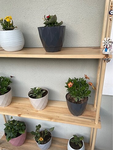 Masif Ahşap Raf Saksılık Düzenleyici - Görsel 4