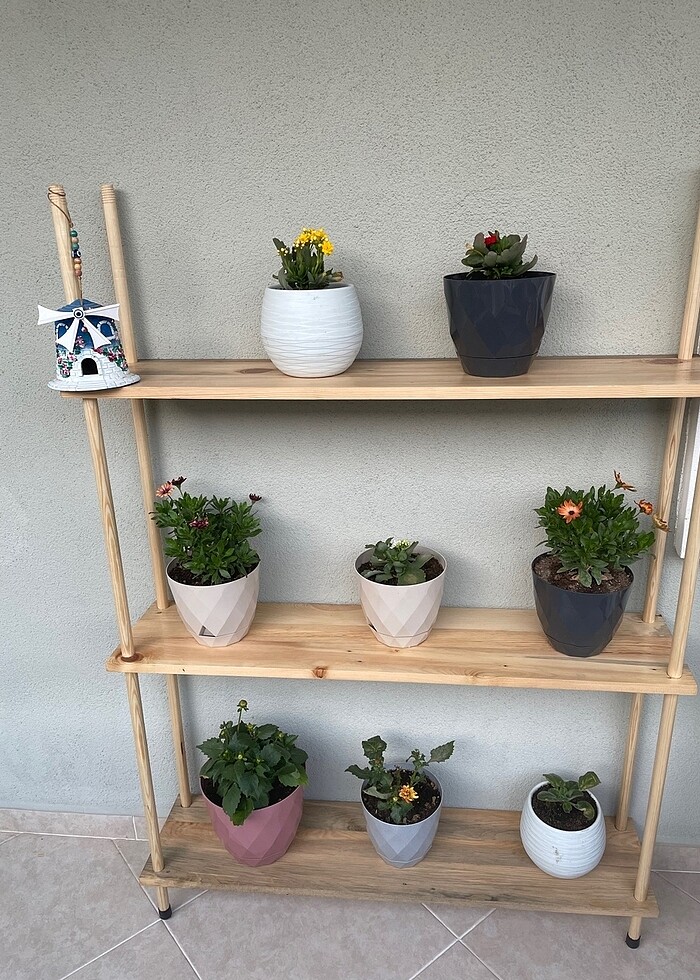 Masif Ahşap Raf Saksılık Düzenleyici - Görsel 2